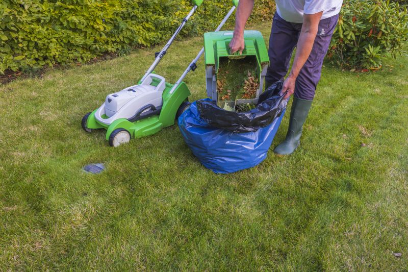 Lawn Mowing and Trimming