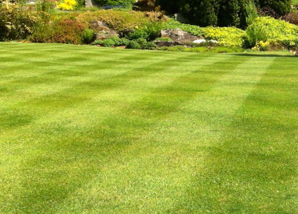Commercial Grass Cutting in Mechanicsburg
