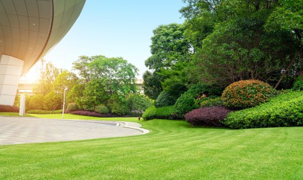 Commercial Lawn Care in Mechanicsburg
