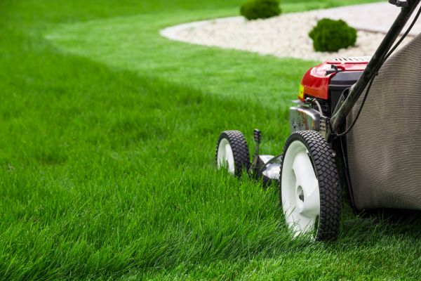 Lawn Cutting Service in Mechanicsburg