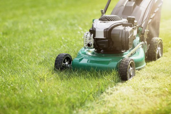 Yard Cutting in Mechanicsburg