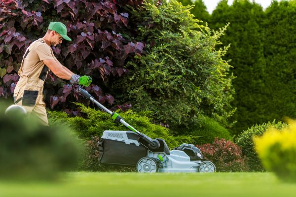 Lawn Management in Mechanicsburg