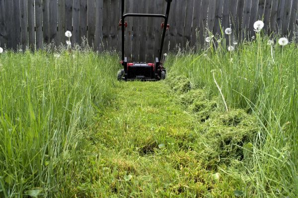 High Grass Mowing in Mechanicsburg