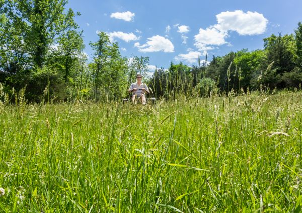 Long Grass Mowing in Mechanicsburg
