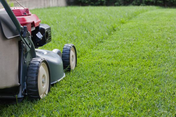 Summer Lawn Care in Mechanicsburg