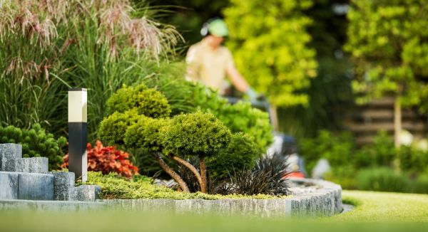 Residential Yard Maintenance in Mechanicsburg