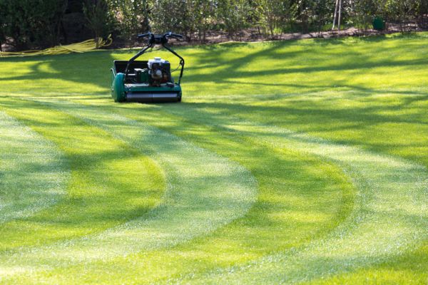 Business Lawn Mowing in Mechanicsburg