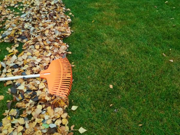 Fall Lawn Care in Mechanicsburg