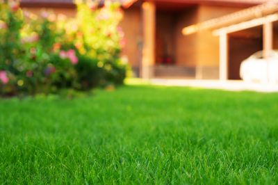 Corporate Lawn Maintenance