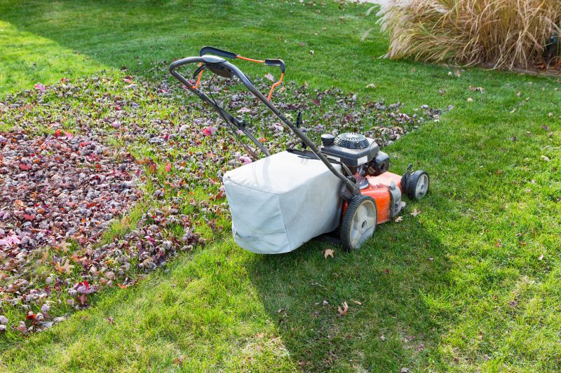 Professional Fall Cleanup Equipment