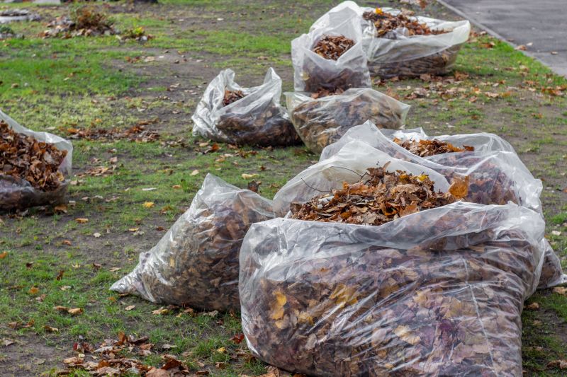 Collected Leaves Ready for Disposal