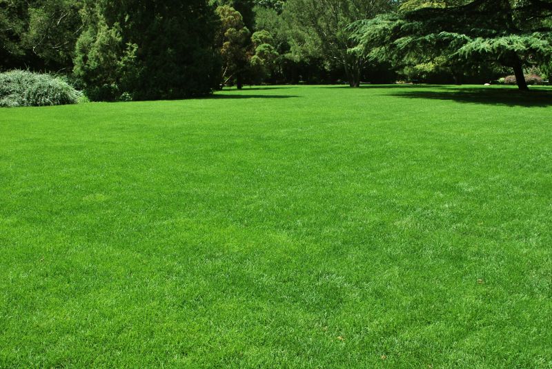 Lawn Maintenance detail