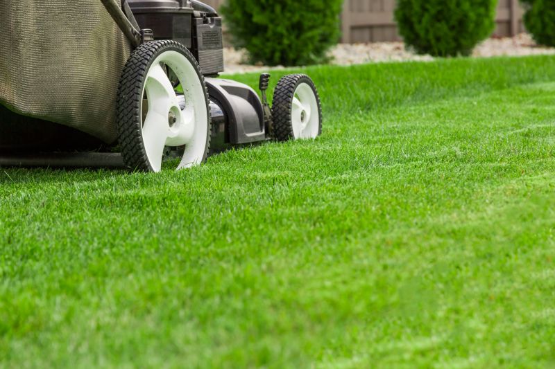 Close-up of Grass Being Cut